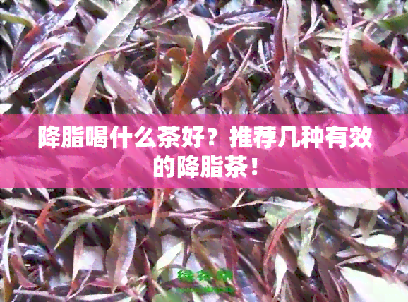 降脂喝什么茶好？推荐几种有效的降脂茶！