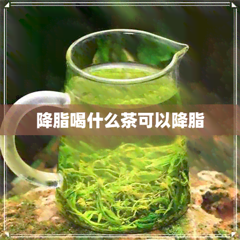 降脂喝什么茶可以降脂