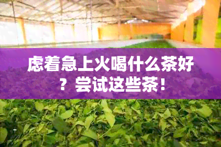 虑着急上火喝什么茶好？尝试这些茶！