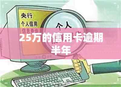 25万的信用卡逾期半年