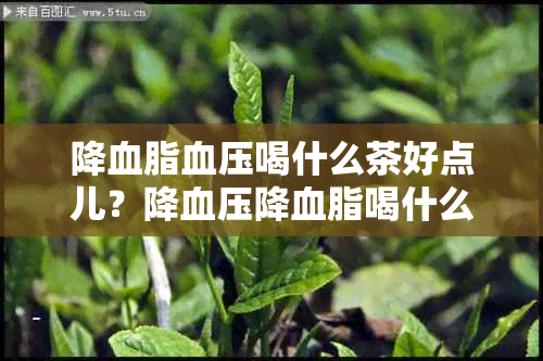 降血脂血压喝什么茶好点儿？降血压降血脂喝什么茶好？降血脂血压的代茶饮