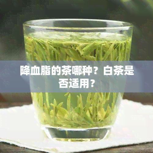 降血脂的茶哪种？白茶是否适用？