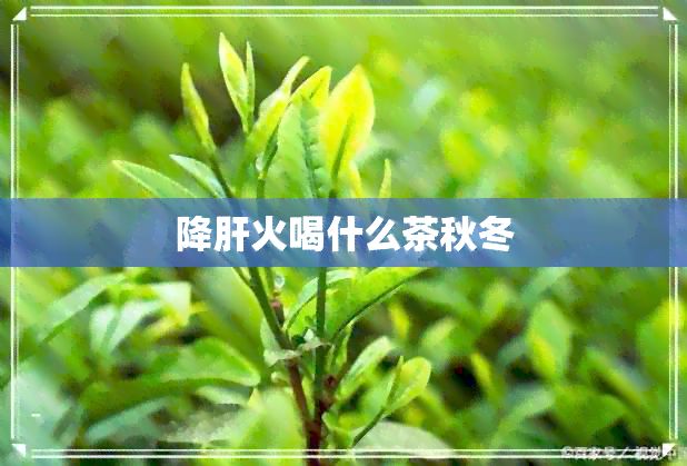 降肝火喝什么茶秋冬