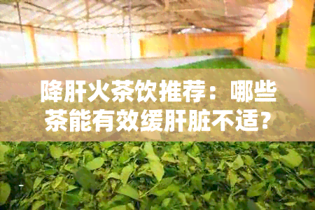 降肝火茶饮推荐：哪些茶能有效缓肝脏不适？