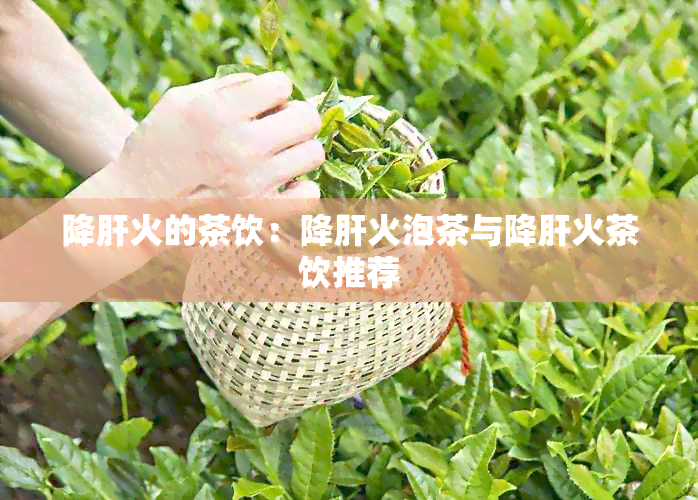 降肝火的茶饮：降肝火泡茶与降肝火茶饮推荐