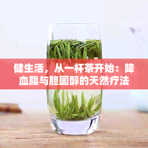 健生活，从一杯茶开始：降血脂与胆固醇的天然疗法