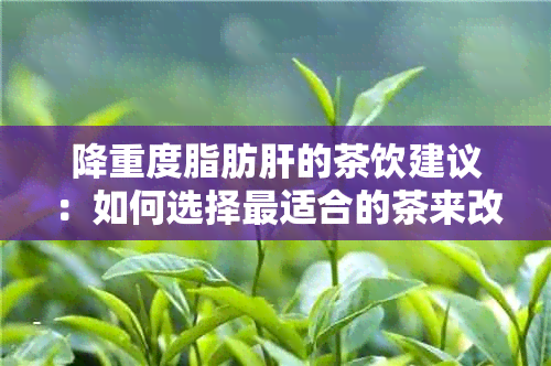 降重度脂肪肝的茶饮建议：如何选择最适合的茶来改善脂肪肝问题？