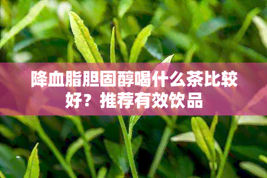 降血脂胆固醇喝什么茶比较好？推荐有效饮品