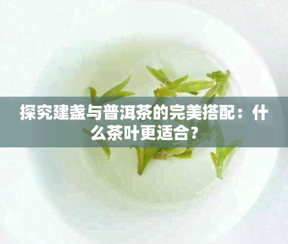 探究建盏与普洱茶的完美搭配：什么茶叶更适合？