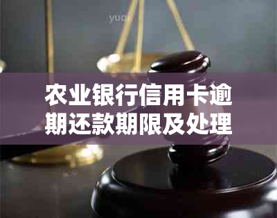 农业银行信用卡逾期还款期限及处理方式全面解析