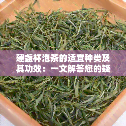 建盏杯泡茶的适宜种类及其功效：一文解答您的疑问