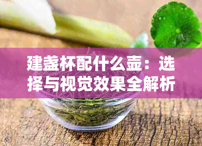 建盏杯配什么壶：选择与视觉效果全解析