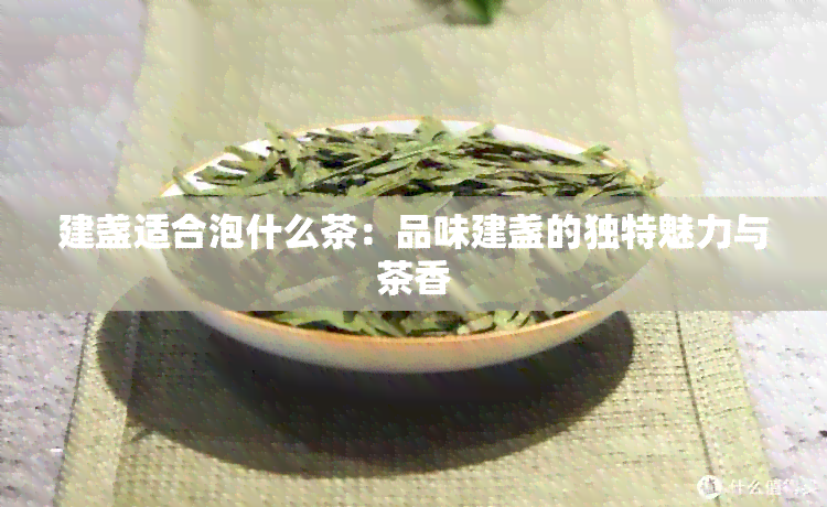 建盏适合泡什么茶：品味建盏的独特魅力与茶香