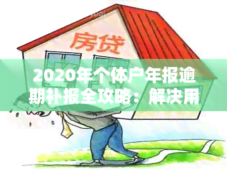 2020年个体户年报逾期补报全攻略：解决用户可能遇到的各种问题