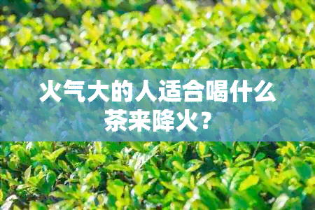 火气大的人适合喝什么茶来降火？