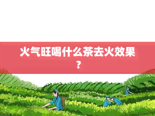 火气旺喝什么茶去火效果？