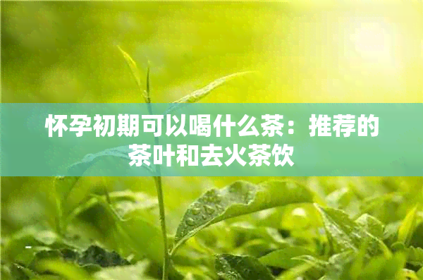 怀孕初期可以喝什么茶：推荐的茶叶和去火茶饮