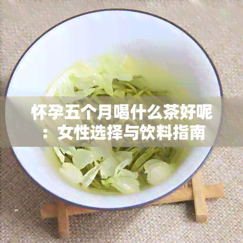 怀孕五个月喝什么茶好呢：女性选择与饮料指南