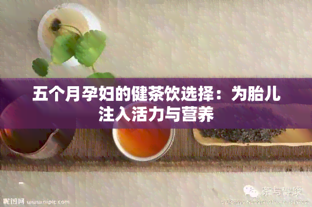 五个月孕妇的健茶饮选择：为胎儿注入活力与营养