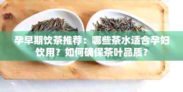 孕早期饮茶推荐：哪些茶水适合孕妇饮用？如何确保茶叶品质？