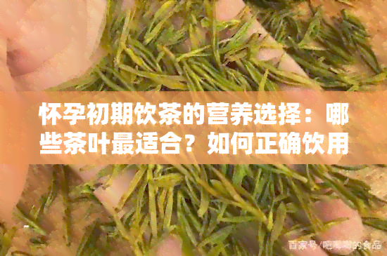 怀孕初期饮茶的营养选择：哪些茶叶最适合？如何正确饮用以保证营养更大化？