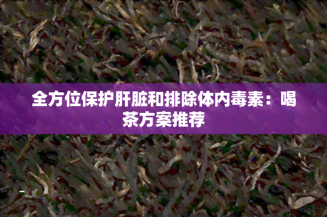 全方位保护肝脏和排除体内素：喝茶方案推荐