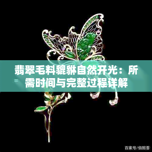 翡翠毛料貔貅自然开光：所需时间与完整过程详解