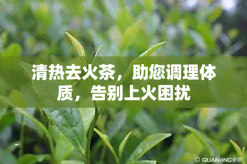 清热去火茶，助您调理体质，告别上火困扰