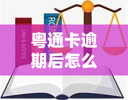 粤通卡逾期后怎么办 如何办理和处理 信用卡逾期问题