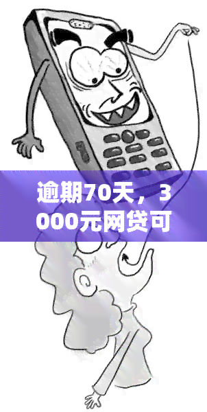 逾期70天，3000元网贷可能带来的后果及应对策略全面解析