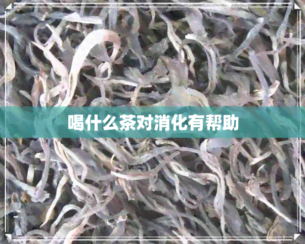 喝什么茶对消化有帮助