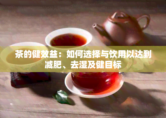 茶的健效益：如何选择与饮用以达到减肥、去湿及健目标