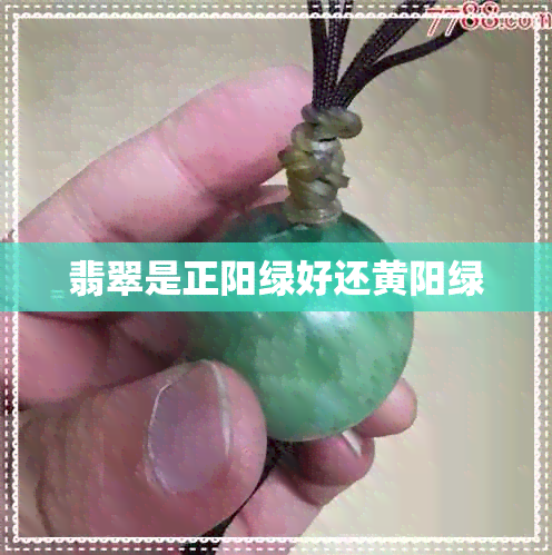 翡翠是正阳绿好还黄阳绿