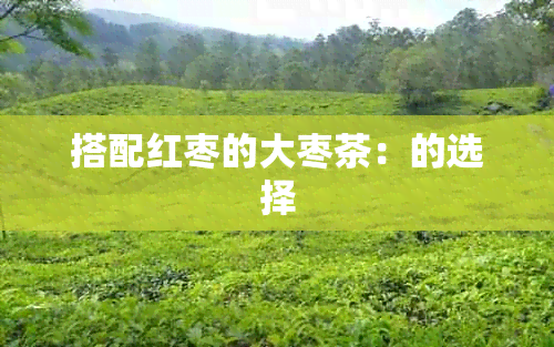 搭配红枣的大枣茶：的选择