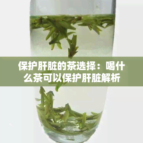 保护肝脏的茶选择：喝什么茶可以保护肝脏解析