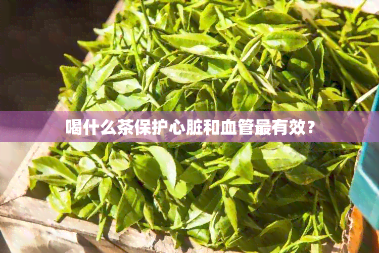 喝什么茶保护心脏和血管最有效？