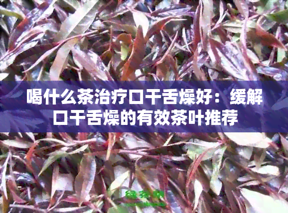 喝什么茶治疗口干舌燥好：缓解口干舌燥的有效茶叶推荐