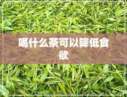 喝什么茶可以降低食欲