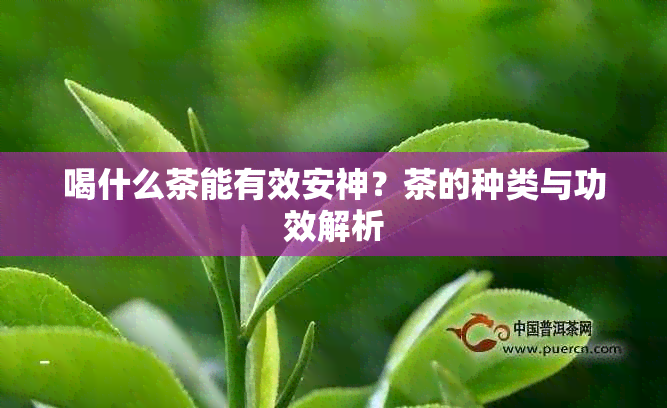 喝什么茶能有效安神？茶的种类与功效解析