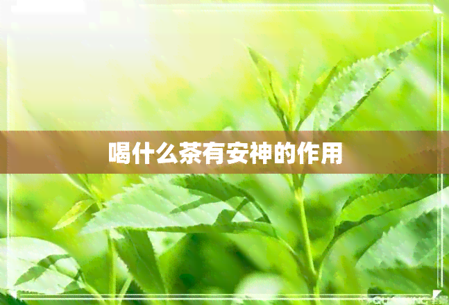 喝什么茶有安神的作用