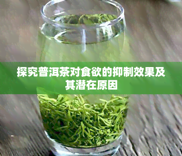 探究普洱茶对食欲的抑制效果及其潜在原因