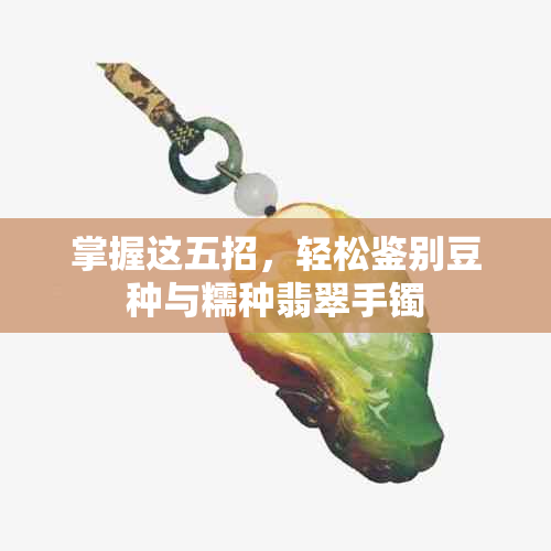 掌握这五招，轻松鉴别豆种与糯种翡翠手镯