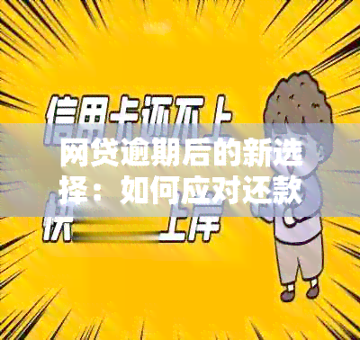 网贷逾期后的新选择：如何应对还款压力并继续借款