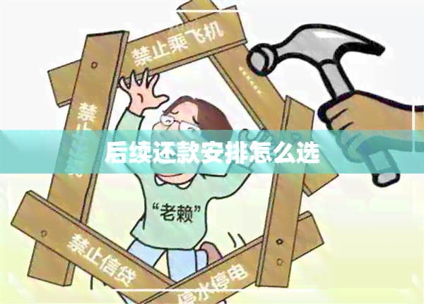 后续还款安排怎么选