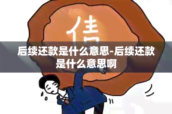 后续还款是什么意思-后续还款是什么意思啊