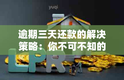 逾期三天还款的解决策略：你不可不知的方法