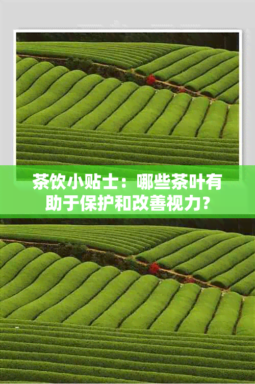 茶饮小贴士：哪些茶叶有助于保护和改善视力？