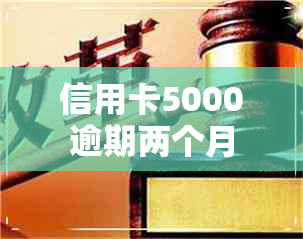 信用卡5000逾期两个月