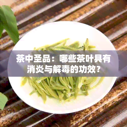 茶中圣品：哪些茶叶具有消炎与解的功效？