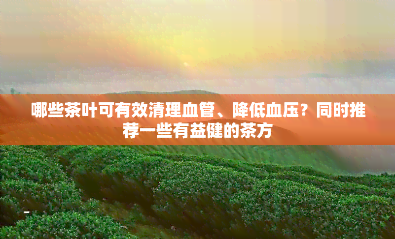 哪些茶叶可有效清理血管、降低血压？同时推荐一些有益健的茶方